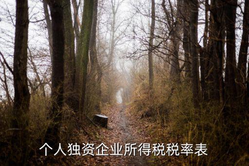 個人獨資企業所得稅稅率表