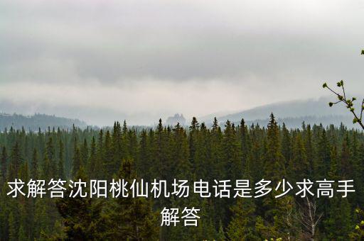 求解答沈陽桃仙機場電話是多少求高手解答