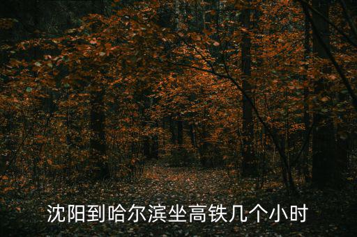沈陽到哈爾濱高鐵時刻表查詢，從沈陽到哈爾濱的動車是從沈陽站還是沈陽北站