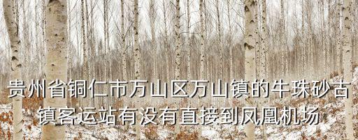 貴州省銅仁市萬山區萬山鎮的牛珠砂古鎮客運站有沒有直接到鳳凰機場