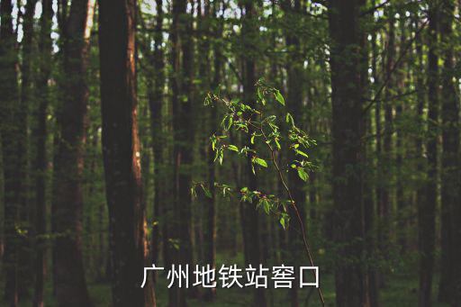 廣州地鐵站窖口