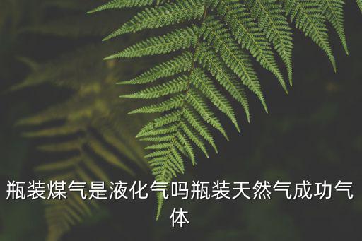 瓶裝煤氣是液化氣嗎瓶裝天然氣成功氣體