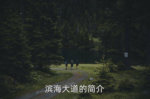 遼寧濱海大道，遼寧的濱海大道到底能不能走