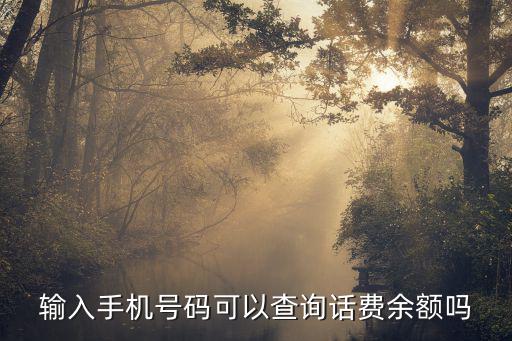 輸入手機(jī)號(hào)碼可以查詢?cè)捹M(fèi)余額嗎