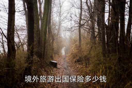 境外旅游出國保險多少錢
