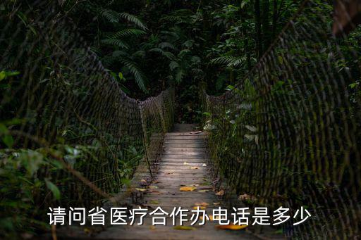 請(qǐng)問省醫(yī)療合作辦電話是多少
