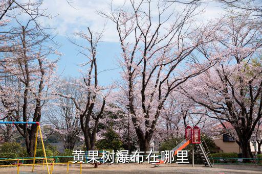 黃果樹瀑布在哪里