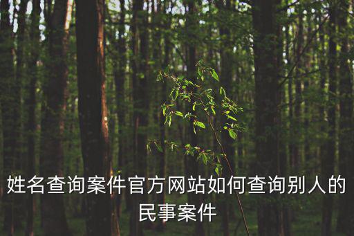 姓名查詢案件官方網站如何查詢別人的民事案件