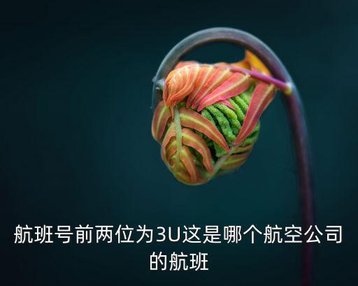 航班號前兩位為3U這是哪個航空公司的航班