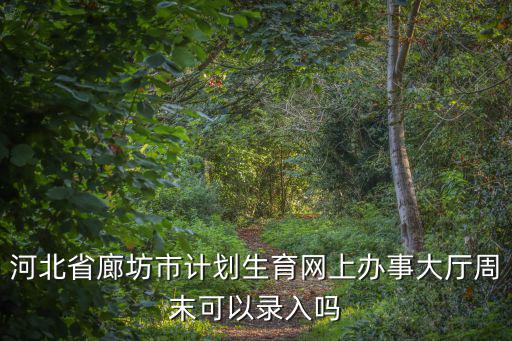 河北省廊坊市計劃生育網上辦事大廳周末可以錄入嗎