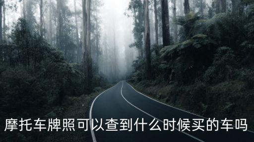 摩托車牌照可以查到什么時候買的車嗎