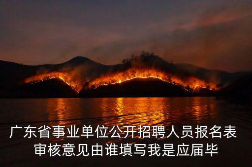 廣東省事業(yè)單位公開招聘人員報(bào)名表 審核意見由誰填寫我是應(yīng)屆畢