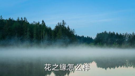 花之緣怎么樣