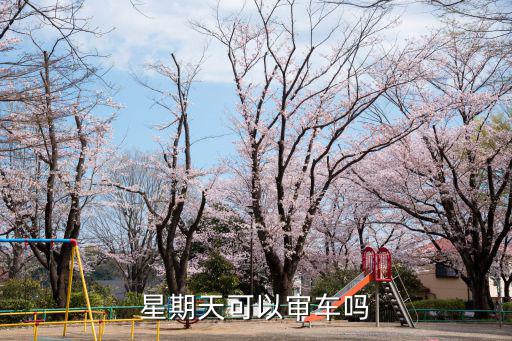 星期天可以審車嗎
