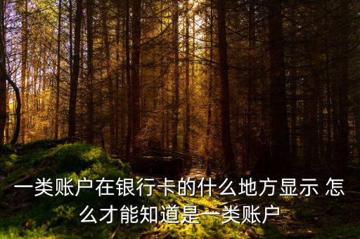 一類賬戶在銀行卡的什么地方顯示 怎么才能知道是一類賬戶