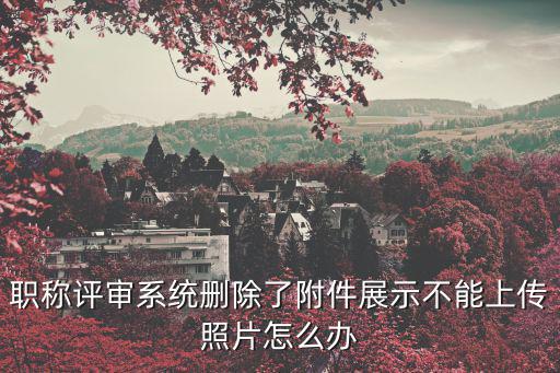 職稱評審系統(tǒng)刪除了附件展示不能上傳照片怎么辦