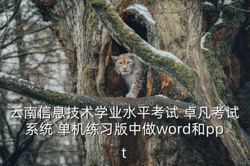 學(xué)業(yè)水平考試報(bào)名系統(tǒng)，往屆云南高中學(xué)業(yè)水平考試補(bǔ)考時(shí)間和應(yīng)屆的一樣嗎卷子也一樣嗎
