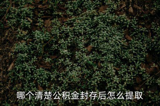 哪個清楚公積金封存后怎么提取