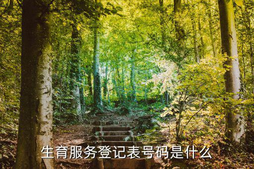 生育服務登記，成都生育服務登記是什么辦理資料