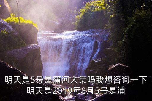 蒲河大集，明天是5號是蒲河大集嗎我想咨詢一下明天是2019年8月5號是浦