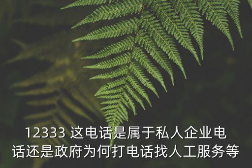 12333 這電話是屬于私人企業電話還是政府為何打電話找人工服務等