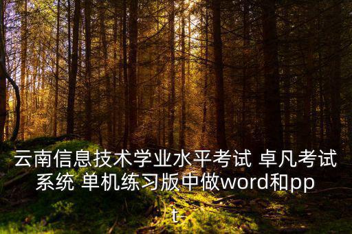 云南信息技術學業水平考試 卓凡考試系統 單機練習版中做word和ppt