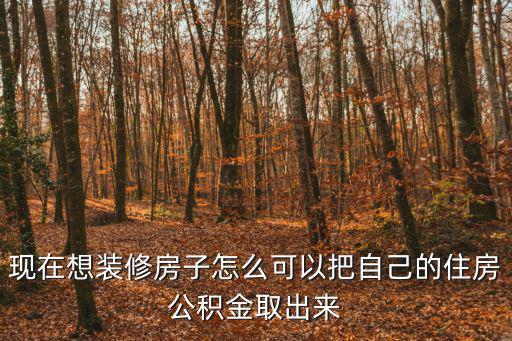 現在想裝修房子怎么可以把自己的住房公積金取出來