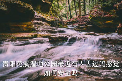 貴陽花溪濕地公園最近有人去過嗎感覺如何安全嗎