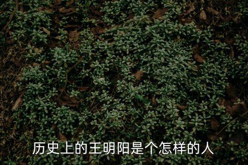 歷史上的王明陽是個怎樣的人