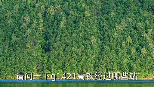 g1421，G7325是什么意思