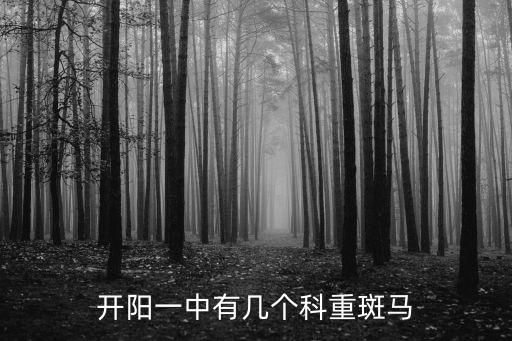 開陽一中，開陽一詞什么意思