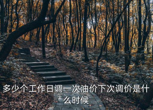 多少個工作日調(diào)一次油價下次調(diào)價是什么時候