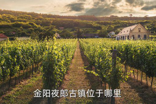 夜郎鎮，金陽夜郎古鎮位于哪里