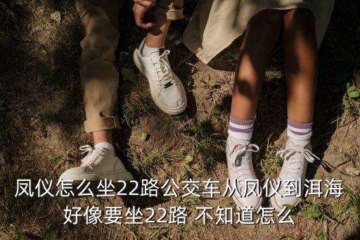 鳳儀路，鳳儀怎么坐22路公交車從鳳儀到洱海好像要坐22路 不知道怎么