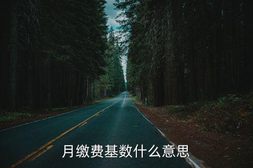 月繳費基數什么意思