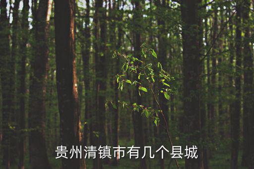 貴州清鎮市有幾個縣城