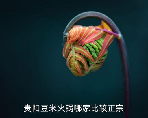 豆米火鍋，貴陽豆米火鍋哪家比較正宗
