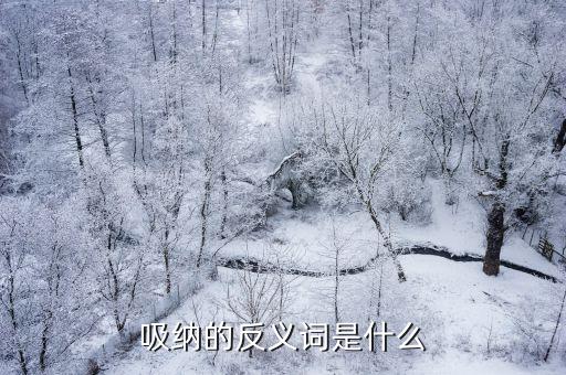 吸納的反義詞是什么