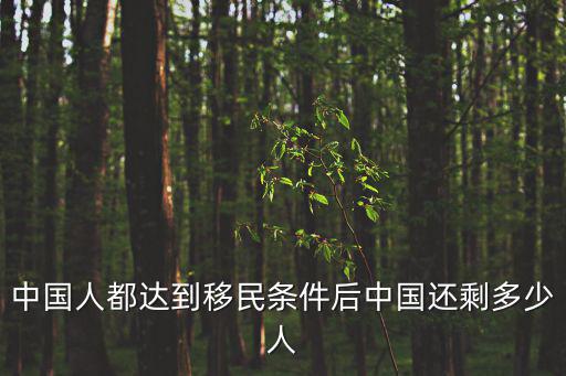 中國(guó)人都達(dá)到移民條件后中國(guó)還剩多少人