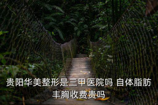 貴陽華美整形是三甲醫院嗎 自體脂肪豐胸收費貴嗎