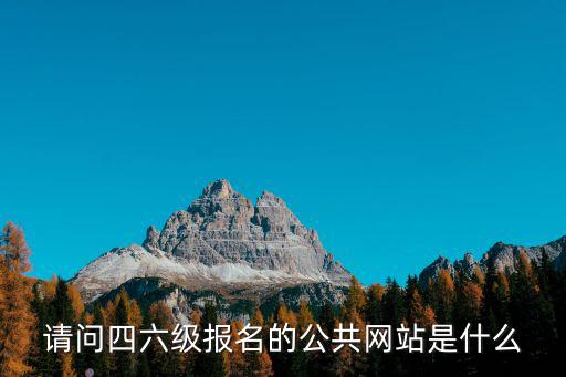 請問四六級報(bào)名的公共網(wǎng)站是什么