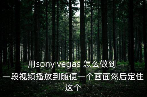 一及錄像播放，求一個好點視頻播放軟件