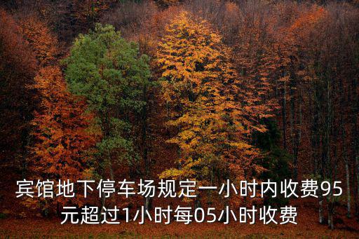 賓館地下停車場規(guī)定一小時內(nèi)收費(fèi)95元超過1小時每05小時收費(fèi)