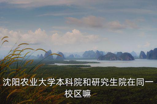 沈陽農業大學本科院和研究生院在同一校區嘛
