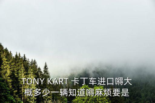 卡丁車多少錢一臺，TONY KART 卡丁車進口嘚大概多少一輛知道嘚麻煩要是
