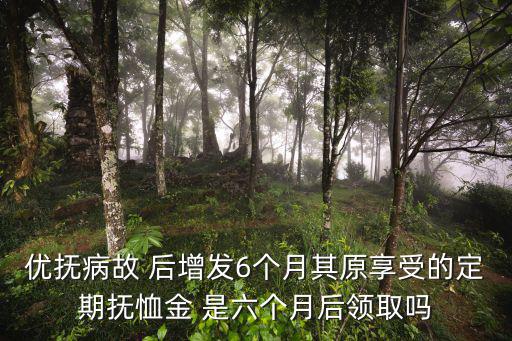 優撫病故 后增發6個月其原享受的定期撫恤金 是六個月后領取嗎