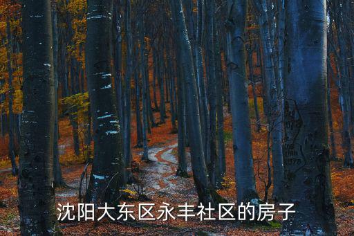 永豐社區(qū)，關(guān)于上海松江永豐街道社區(qū)事務(wù)受理中心