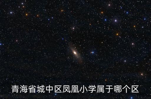 青海省城中區鳳凰小學屬于哪個區