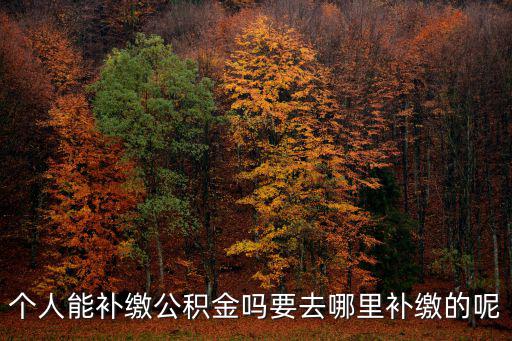 個人能補繳公積金嗎要去哪里補繳的呢