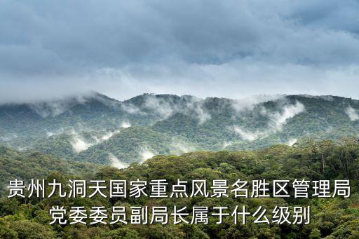貴州九洞天國家重點風(fēng)景名勝區(qū)管理局黨委委員副局長屬于什么級別